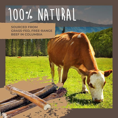Mighty Paw Naturals Bully Sticks - All-Natural Protein-Rich Dog Chews from Grass-Fed Beef. Single-Ingredient Pet Treat for Dental Health. Keeps Chewers Busy - Dental Chew Dog Bully Stick
