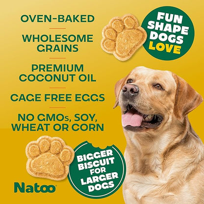 NATOO Healthy Treats for Large Dogs, Crunchy Biscuits Coconut & Mango Flavor – Natural Dog Treats, Rich in Omega 6, Prebiotics & Fibers, Antioxidants for Immunity (8 oz)
