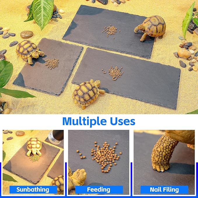 Natural Slate Basking Platform for Reptiles Bearded Dragon Tortoise Turtle Habitat Accessory Heat Retention, Anti-Slip Design, Feeding Tray Functionality, and Superior Water Absorption (12'' x 6'')