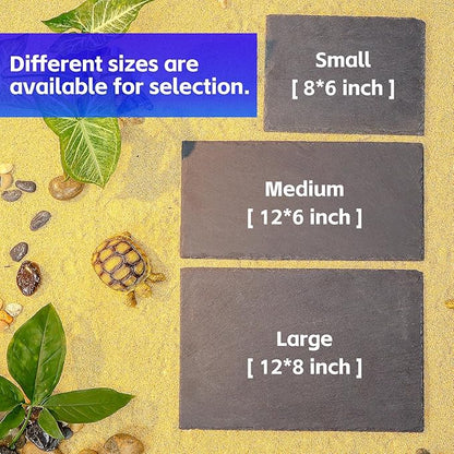 Natural Slate Basking Platform for Reptiles Bearded Dragon Tortoise Turtle Habitat Accessory Heat Retention, Anti-Slip Design, Feeding Tray Functionality, and Superior Water Absorption (12'' x 6'')