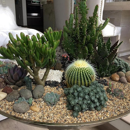 10 lbs Aquarium Gravel, 1-2mm Fish Tank Gravel, Premium Gravel and Substrate for Aquariums, Fish Tanks and Terrariums, XiL-1-2-10