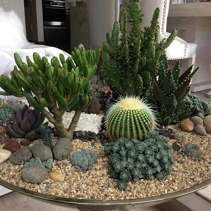 2 lbs Aquarium Gravel, 1-2mm Fish Tank Gravel, Premium Gravel and Substrate for Aquariums, Fish Tanks and Terrariums