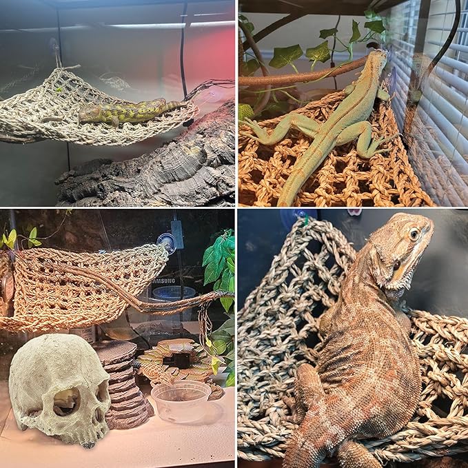 kathson Reptile Habitat Skull Decoration Bearded Dragon Tank Accessories Resin Human Skulls Hide Cave Hanging Vines Plant for Lizards Tortoise Snake Chameleon Spider Reptiles Amphibians(4 PCS)