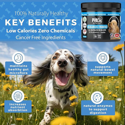 Pet Chef Dog Probiotics: Cannine Gut Issues? Smelly Breath, Runny Eyes, Paw Licking. Imrove Dog Digestion Health. Multi Strain Pre & Probiotics for Dogs Fixes Poop Issues. 140ct Best Value!