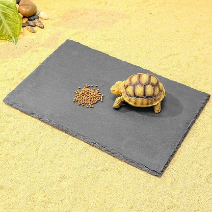 Natural Slate Basking Platform for Reptiles Bearded Dragon Tortoise Turtle Habitat Accessory Heat Retention, Anti-Slip Design, Feeding Tray Functionality, and Superior Water Absorption(12'' x 8'')