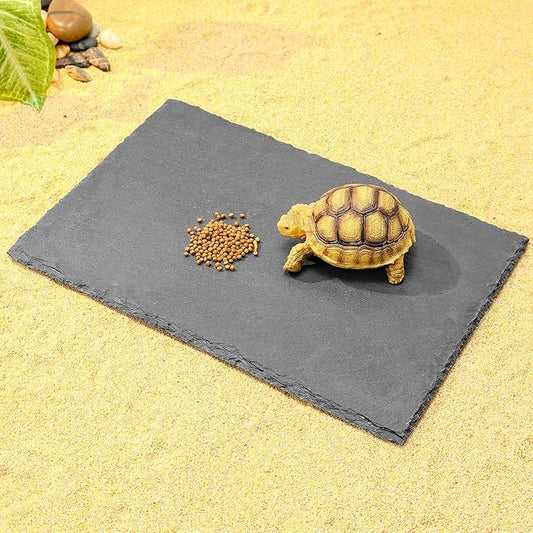 Natural Slate Basking Platform for Reptiles Bearded Dragon Tortoise Turtle Habitat Accessory Heat Retention, Anti-Slip Design, Feeding Tray Functionality, and Superior Water Absorption(12'' x 8'')