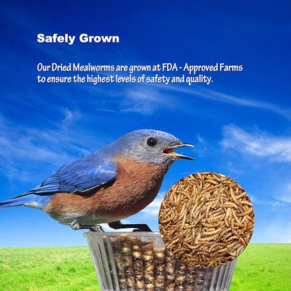 Amzey Dried Mealworms 1 LB, 100% Natural Meal Worms for Chicken & Birds, Organic Chicken Feed for Laying Hens, High Protein and Nutrition, Zipped Bag