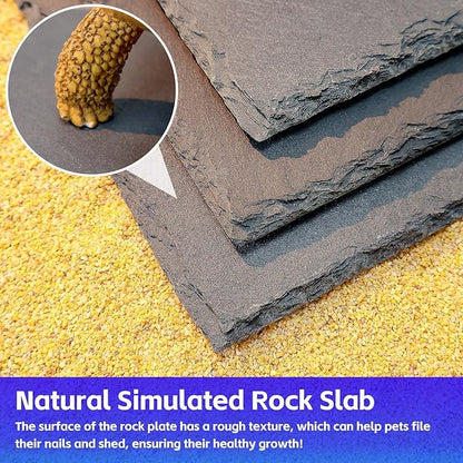 Natural Slate Basking Platform for Reptiles Bearded Dragon Tortoise Turtle Habitat Accessory Heat Retention, Anti-Slip Design, Feeding Tray Functionality, and Superior Water Absorption (12'' x 6'')
