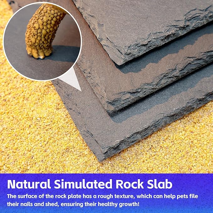 Natural Slate Basking Platform for Reptiles Bearded Dragon Tortoise Turtle Habitat Accessory Heat Retention, Anti-Slip Design, Feeding Tray Functionality, and Superior Water Absorption(12'' x 8'')