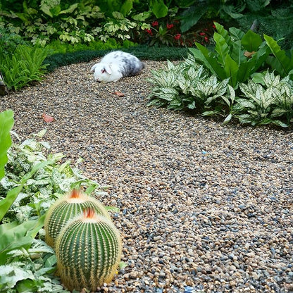 10 lbs Aquarium Gravel, 1-2mm Fish Tank Gravel, Premium Gravel and Substrate for Aquariums, Fish Tanks and Terrariums, XiL-1-2-10