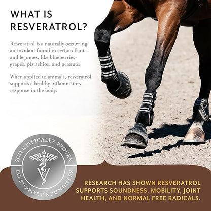 Equithrive Original Joint Supplement Powder with Resveratrol and Hyaluronic Acid for Horses, Equine Care, 8 lbs