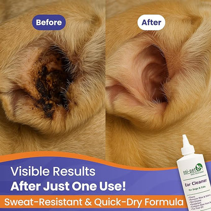 Dog & Cat Ear Cleaner Solution with Aloe Vera & Tea Tree Oil – Removes Itchy Ear Wax, Debris, Odor – Ears Wash, Drops & Flush for Pets, Dog Ears Cleaning, Cat Cleaner (16 oz- Pack of 3)
