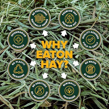 Eaton Pet and Pasture Naturally Grown, Premium, 1st Cut Blend, Western Timothy Hay Orchard Blend, Small Animal Food, Sustainable, Eco-Friendly, Farmer-Owned, 25LB-Box.