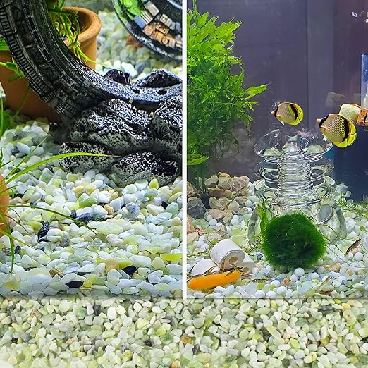 CJGQ 18lb Natural Gravel for Aquarium Succulents Bonsai Terrarium Fish Tank,1/5" Decorative Stone for Plants Indoor