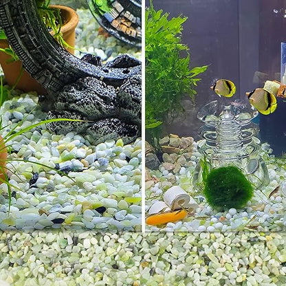 CJGQ 2.4lb Natural Gravel for Aquarium Succulents Bonsai Terrarium Fish Tank,1/5" Decorative Stone for Plants Indoor