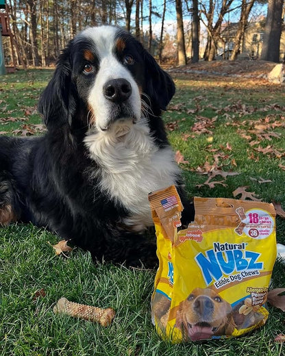 Nylabone Nubz Natural Dog Chew Treats for Large Dogs, Long Lasting Dog Bones Made in USA, Peanut Butter Flavor Breath Freshener Dental Chews, for Dogs Up to 50 lbs. (18 Count)