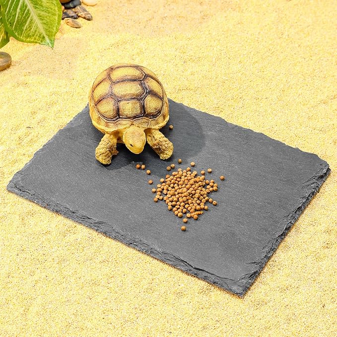 Natural Slate Basking Platform for Reptiles Bearded Dragon Tortoise Turtle Habitat Accessory Heat Retention, Anti-Slip Design, Feeding Tray Functionality, and Superior Water Absorption (8'' x 6'')