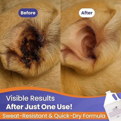 Dog & Cat Ear Cleaner Solution with Aloe Vera & Tea Tree Oil – Removes Itchy Ear Wax, Debris, Odor – Ears Wash, Drops & Flush for Pets, Dog Ears Cleaning, Cat Cleaner, 2 Gallons